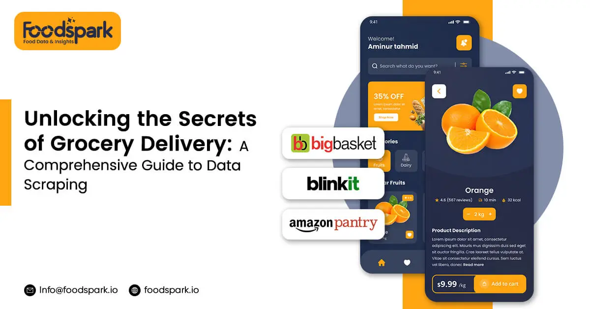 unlocking-the-secrets-of-grocery-delivery-a-comprehensive-guide-to-data-scraping