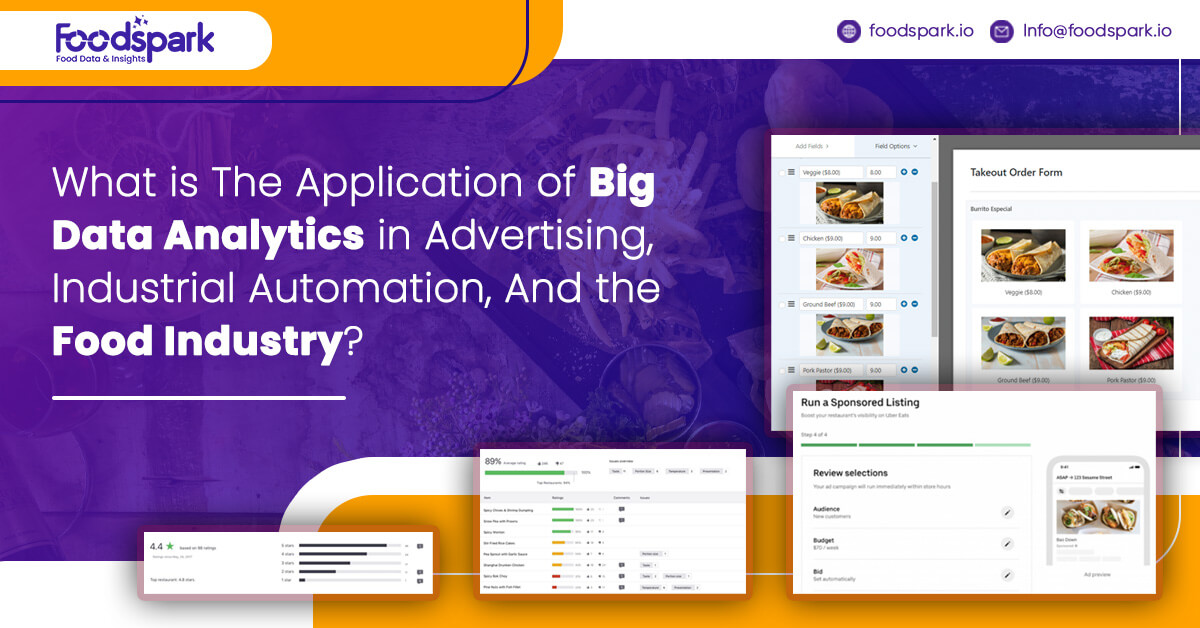 What is The Application of Big Data Analytics in Advertising
